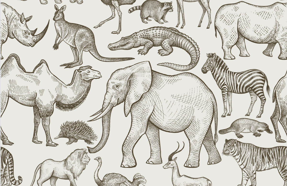 Een vredige pasgeborene, gezellig ingebakerd in een Zijdezacht Little Safari dekentje en outfitje, zuigt tevreden aan een speentje.